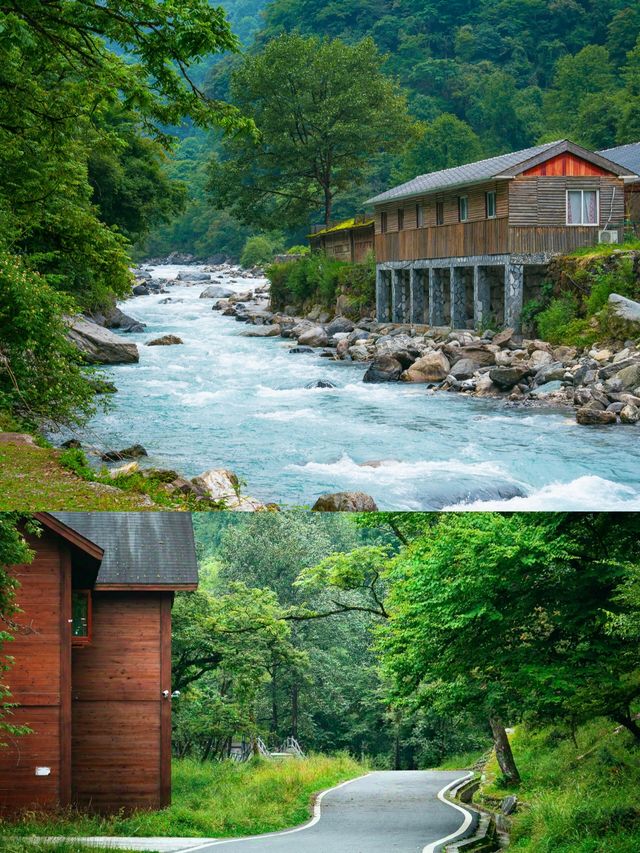 從38℃高溫逃進23℃森林，這地方我直接想住下不走了！！