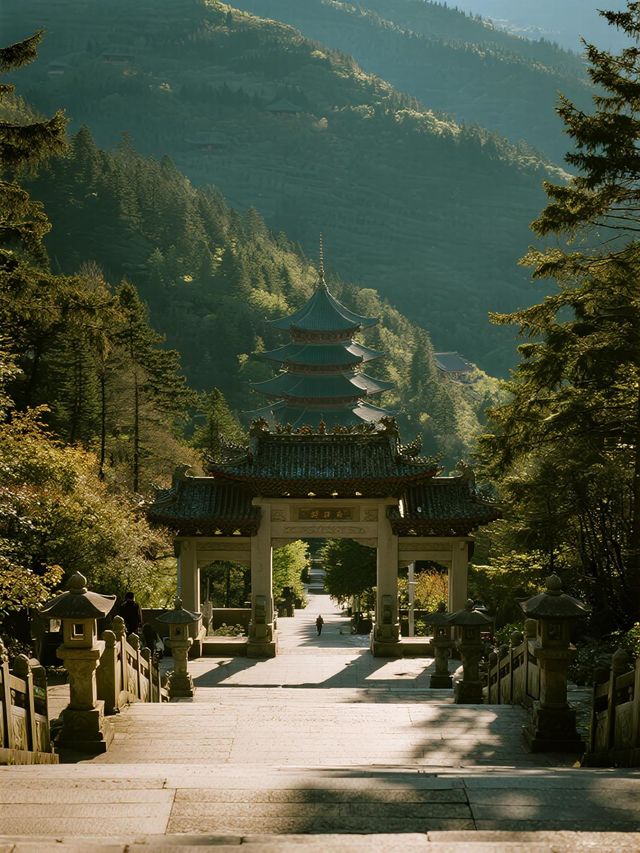 誰說南宮山只能大人爬？5歲娃全程自己走完，秘訣全在這篇攻略裡