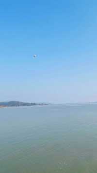 夕陽下與海鷗共舞