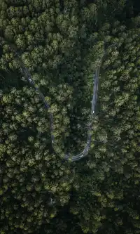 航拍維州 | 原來上帝視角的維州是這樣的！