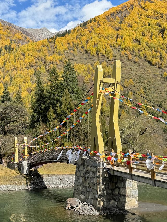 10.16四姑娘山現狀，已經開始慢慢變黃了！