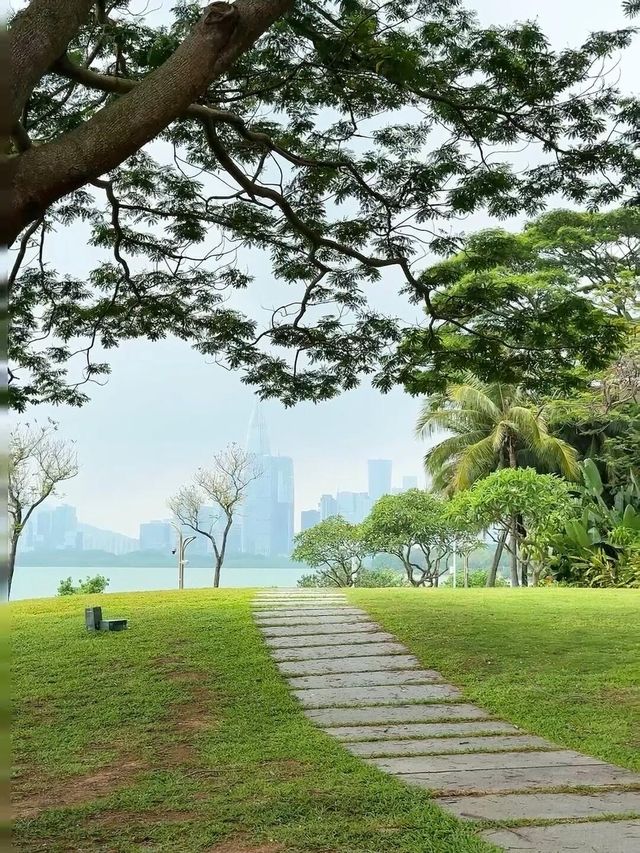 深圳灣必打卡絕美海景