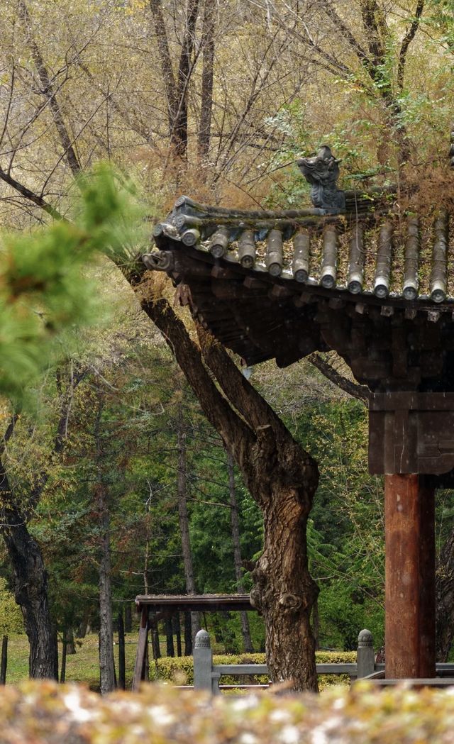 當古建與雪花同框