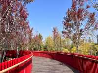 西安東郊免費遛娃寶藏地，幸福林帶兒童樂園太香啦！