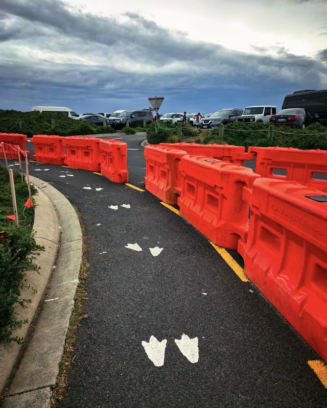 企鵝島治癒系旅行指南