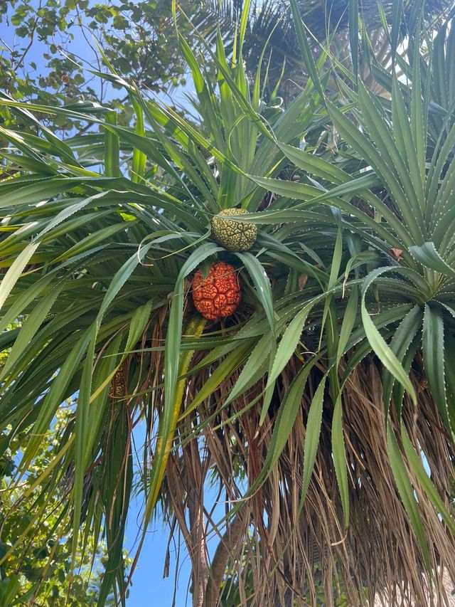 Fantastic Resort Experience!