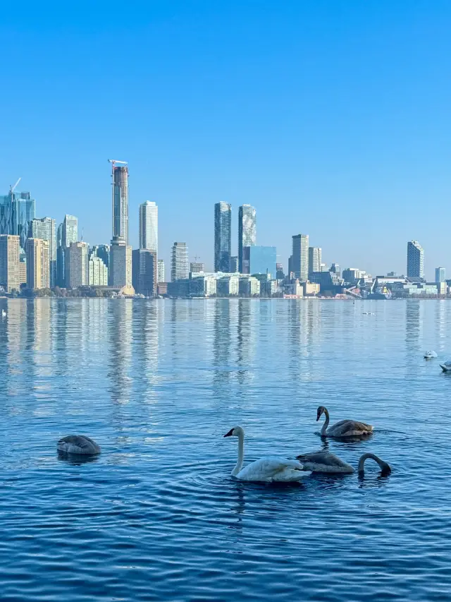 Toronto｜A Stunning Lake Island Hiking Destination