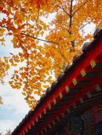 秋日北平漫步指南：從故宮角樓到胡同咖啡，一秒穿越回京華煙雲。