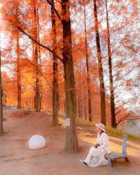 埼玉的北歐秋天！超夢幻姆明主題森林公園