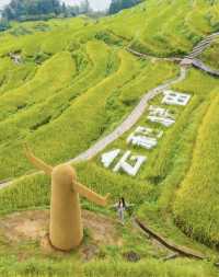雲和梯田深度遊｜四大神仙機位全攻略