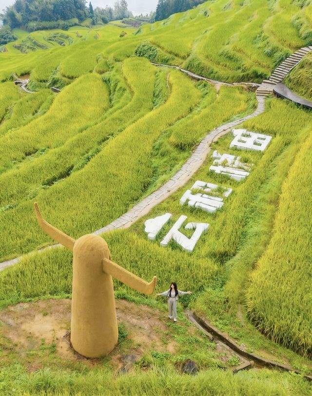 雲和梯田深度遊｜四大神仙機位全攻略