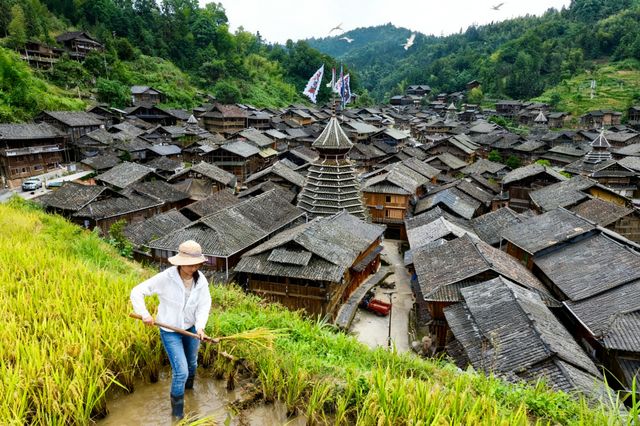 終於找到了深藏在貴州大山裡的世外桃源——黃崗侗寨！這裡沒有商業化的喧囂，只有800多年的歷史沉澱和3