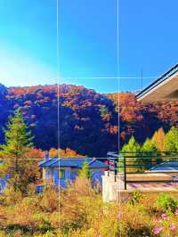 本溪避堵路線|冷門秘境童話公路