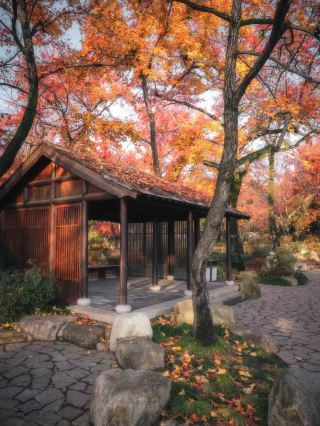 Tianpingshan | Mountains ablaze with red, autumn colors at their peak!