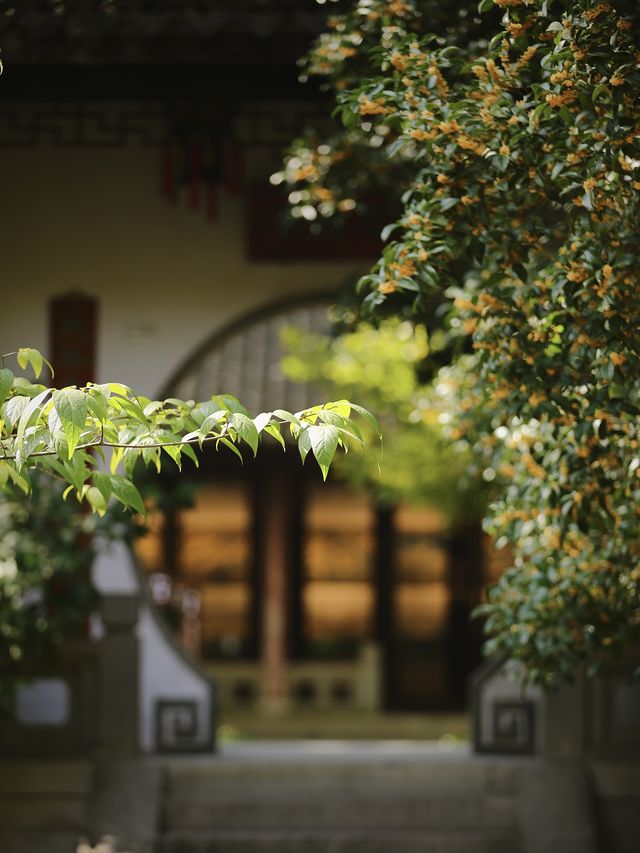 蘇州的秋天,堪稱中式美學天花板!! 蘇州的秋天,堪稱中式美學天花板!!