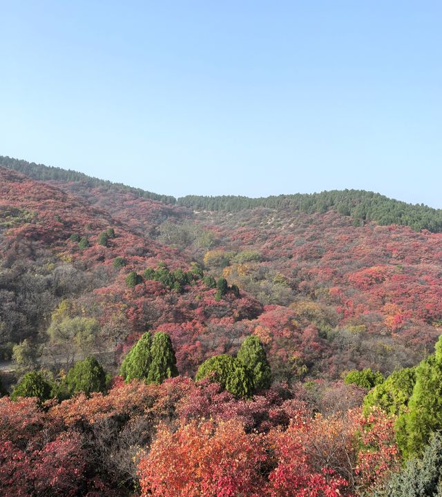 濟南賞秋之紅葉谷 濟南賞秋之紅葉谷