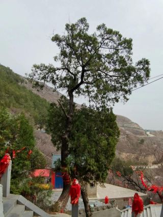 ไกด์นำเที่ยวหนึ่งวันไปยังวัด Yaoshan Shengmu อัญมณีที่ซ่อนอยู่ใน Weinan มณฑลส่านซี