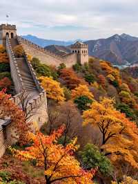 發現一個寶藏景點——喇叭溝門原始森林公園