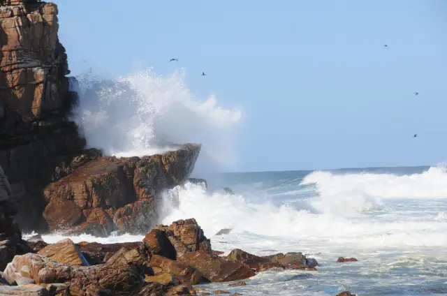 เคปทาวน์แอฟริกาใต้