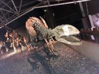 所謂「北有兵馬俑,南有恐龍谷」楚雄世界恐龍谷全攻略