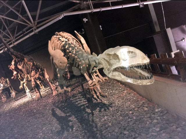 所謂「北有兵馬俑,南有恐龍谷」楚雄世界恐龍谷全攻略 所謂「北有兵馬俑,南有恐龍谷」楚雄世界恐龍谷全攻略