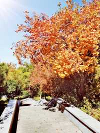 【河南省湯陰縣】城南公園。