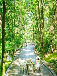 江西小眾寶藏地～被問爆的龜峰仙境