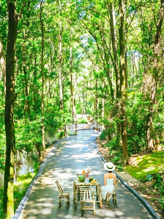 江西小眾寶藏地～被問爆的龜峰仙境