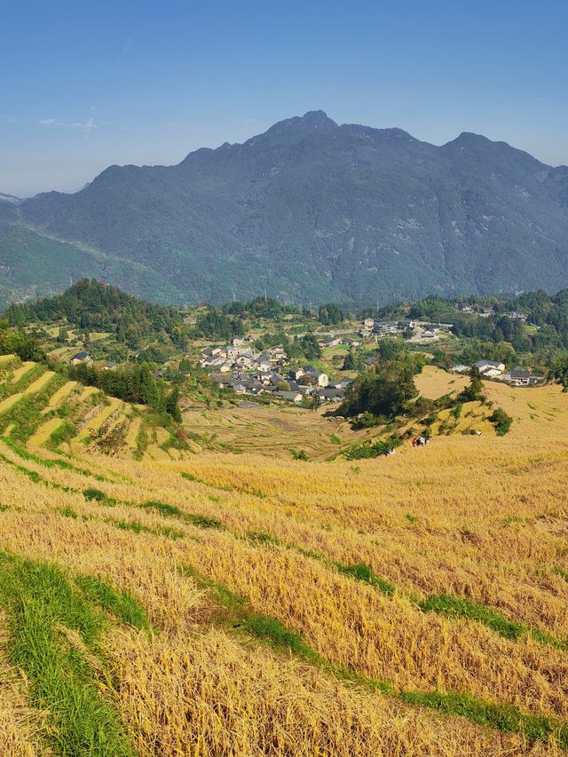 雲和梯田 雲和梯田