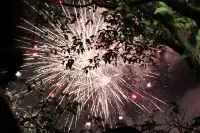 婺女洲|體驗一場盛世繁華|附機位