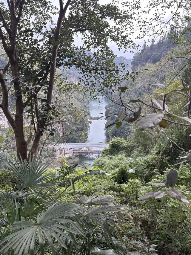 11月黃果樹瀑布實況 11月黃果樹瀑布實況