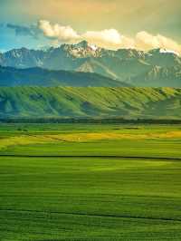 【哈密奇遇記！穿越千年絲路，邂逅大漠奇蹟】