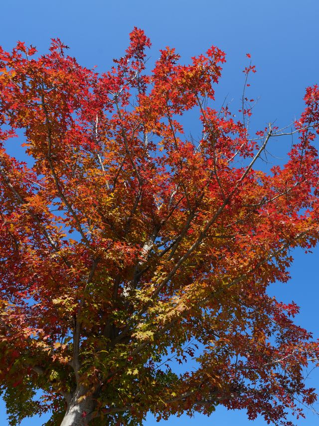 不擠的皖南才香：謎窟+古村的閒庭驚喜