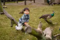 2h直達上海周邊遛娃聖地南通野生動物