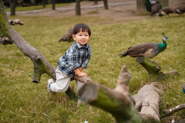 2h直達上海周邊遛娃聖地南通野生動物