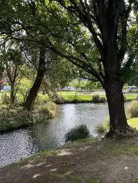 基督城不愧是上帝的“後花園”