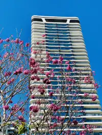 深圳又多一個週末遛娃、海邊徒步的好去處