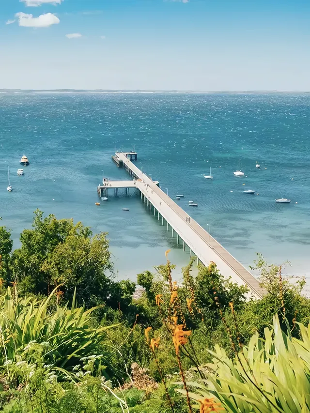 墨爾本周邊1.5h果然最美的地方都是免費的 墨爾本周邊1.5h果然最美的地方都是免費的