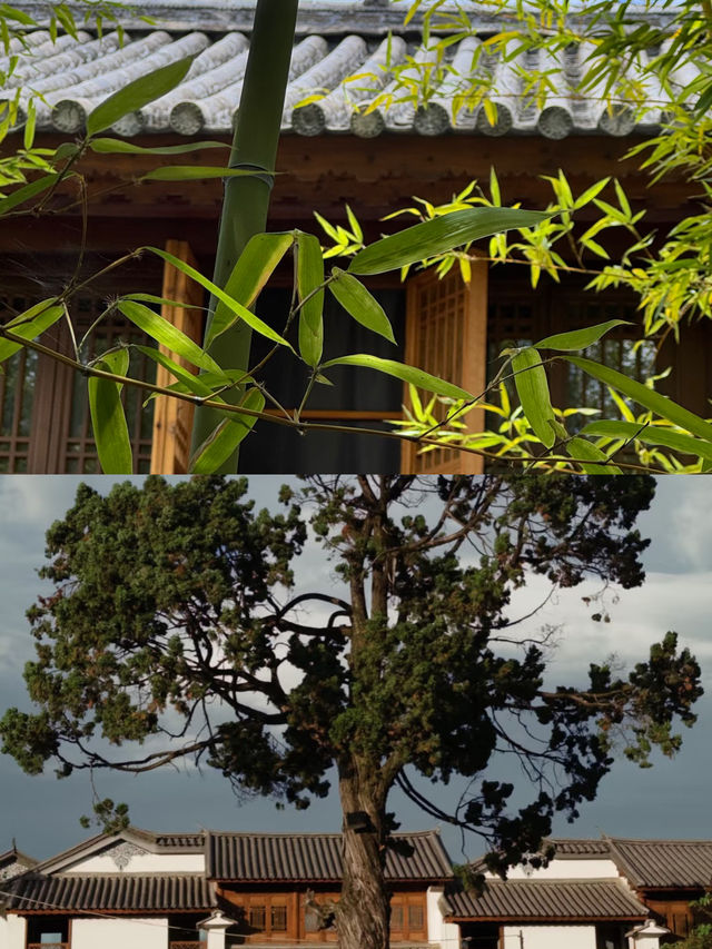 頤和進士第美如畫