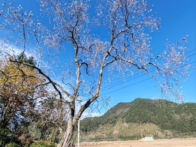 A Winter Day in the Mountain Village