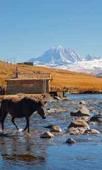 每個到過川西的人，都將用一生來懷念   有人說，川西的風景不在終點，而在路上。 而在所有風景裡