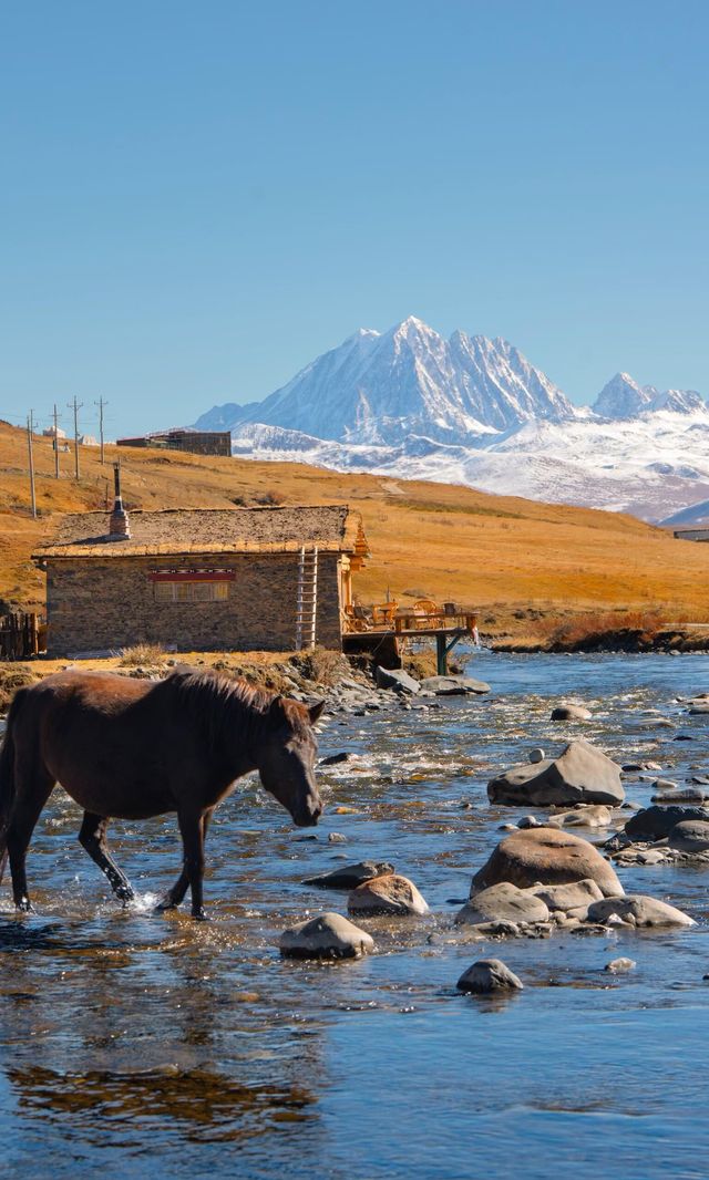 每個到過川西的人，都將用一生來懷念   有人說，川西的風景不在終點，而在路上。 而在所有風景裡