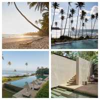 在安缦尋覓冬日暖陽