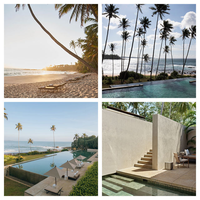 在安缦尋覓冬日暖陽