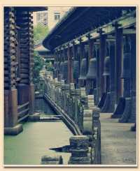 躲進700年古寺,我在真如寺尋得半日“大隱於市”