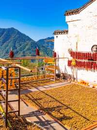 比起黃山,我更愛國家地理推薦的這座寶藏仙山