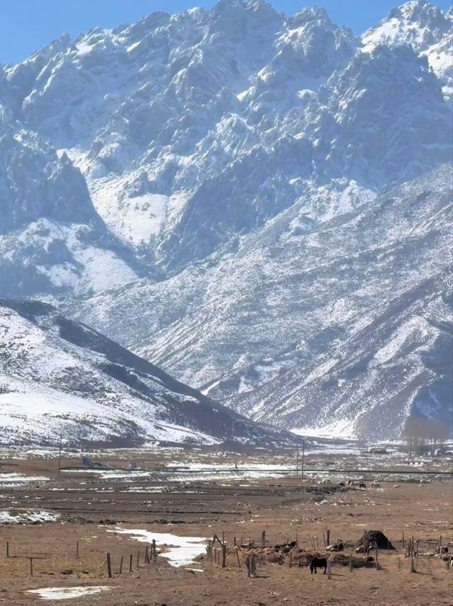 祁連山秋冬奇遇：從色彩派對到靜默雪國 