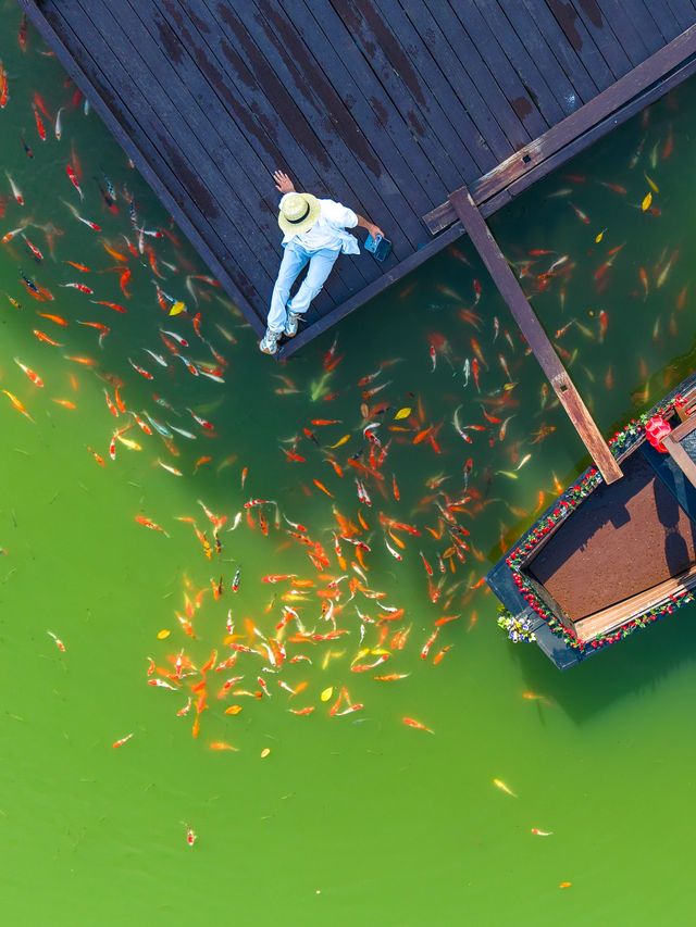 去九華山玩的朋友有福了！禪意酒店絕絕子！