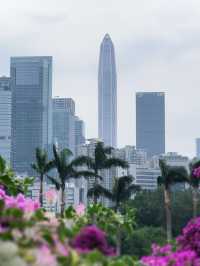 深圳必打卡|蓮花山公園保姆級攻略仰望偉人俯瞰城!