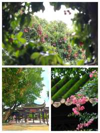 嶺南園林隱世仙境